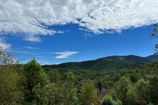 108 Sky Dancer Ridge, Blue Ridge, GA 30513 - Photo 2