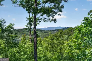 573 Weaver Creek Way, Blue Ridge, GA 30513 - Photo 2
