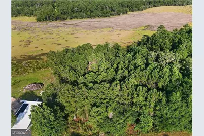 Lot #23 Barnstorm Road NE, Townsend, GA 31331 - Photo 1