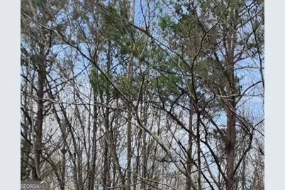 0 U S Highway 80 E, Knoxville, GA 31050 - Photo 2