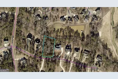 1040 Carnoustie Drive, Greensboro, GA 30642 - Photo 1