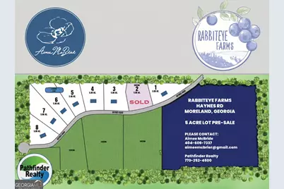 Lot 2 Haynes Road, Moreland, GA 30259 - Photo 1