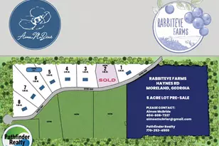 Lot 2 Haynes Rd, Moreland, GA 30259 - Photo 1
