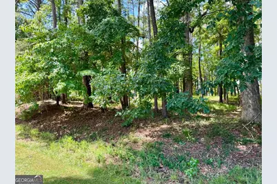2001 Pine Valley Court, Greensboro, GA 30642 - Photo 6