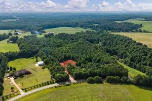 0 Shirey Dairy Rd, Carrollton, GA 30117 - Photo 12