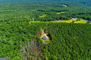 1800 Hutcheson Ferry Rd, Whitesburg, GA 30185 - Photo 94