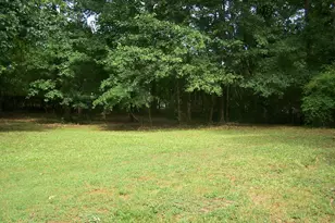 111 Wolf Creek Way, Locust Grove, GA 30248 - Photo 24