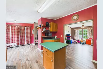360 Hayes Road, Byron, GA 31008 - Photo 24
