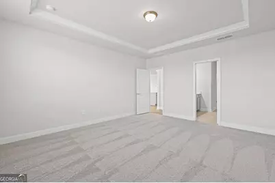 259 Nesta Grove Drive, Locust Grove, GA 30248 - Photo 10