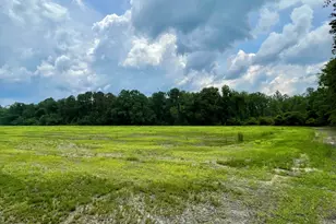 30 Weller's Way, Brooklet, GA 30415 - Photo 1