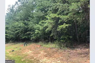 1613 Duchess Lane, Clarkesville, GA 30523 - Photo 22
