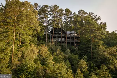 1723 E Wildcat Road, Clarkesville, GA 30523 - Photo 80
