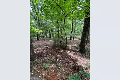 00 White Stone Dr, Cleveland, GA 30528 - Photo 36