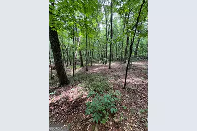 00 White Stone Dr, Cleveland, GA 30528 - Photo 32