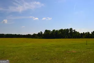 Bishop Canoochee Rd, Midville, GA 30441 - Photo 1