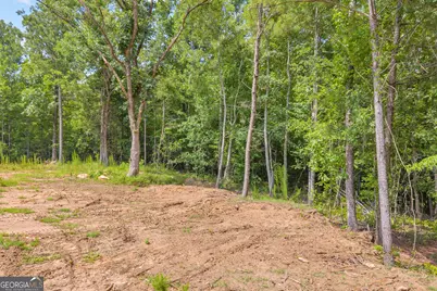 Lot 5 Mill Street, Elberton, GA 30635 - Photo 14