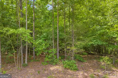 Lot 5 Mill Street, Elberton, GA 30635 - Photo 16
