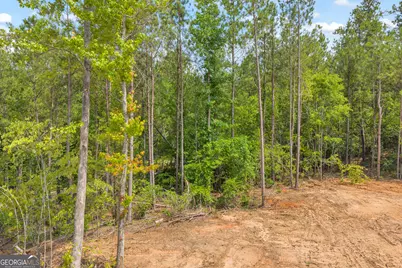 Lot 5 Mill Street, Elberton, GA 30635 - Photo 12