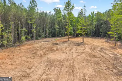 Lot 5 Mill Street, Elberton, GA 30635 - Photo 10