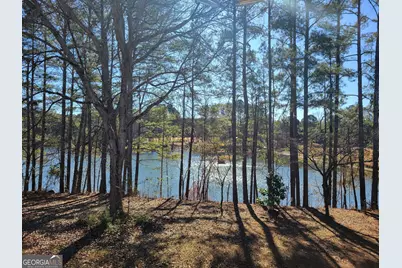 190 Baywatch Circle, Fayetteville, GA 30215 - Photo 46