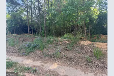 0 College, Monticello, GA 31064 - Photo 4