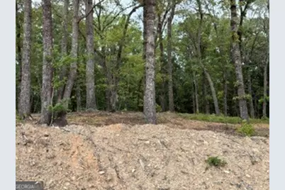 2180 Dunn Rd Road, Molena, GA 30258 - Photo 12