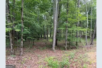 2180 Dunn Rd Road, Molena, GA 30258 - Photo 24