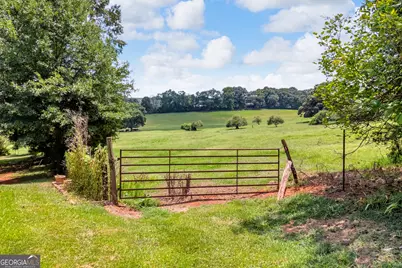 6091 Stone Bridge Road, Carnesville, GA 30521 - Photo 40