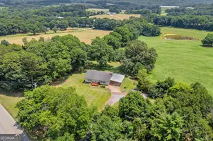 6091 Stone Bridge Rd, Carnesville, GA 30521 - Photo 4