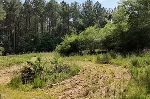 3729 Duncan Bridge Rd, Cornelia, GA 30531 - Photo 60