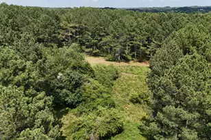 3729 Duncan Bridge Rd, Cornelia, GA 30531 - Photo 50