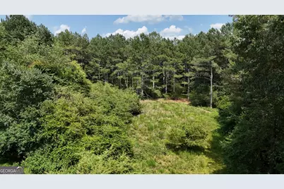 3729 Duncan Bridge Road, Cornelia, GA 30531 - Photo 48