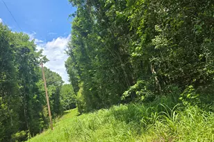 0 Potash Rd, Cedartown, GA 30125 - Photo 1
