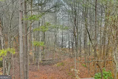 120 Meadow View Glen, Newnan, GA 30265 - Photo 46