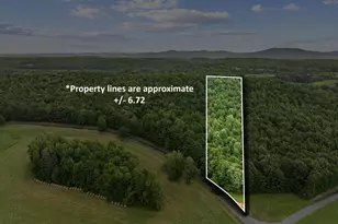 0 Fricks Gap Rd, Chickamauga, GA 30707 - Photo 1