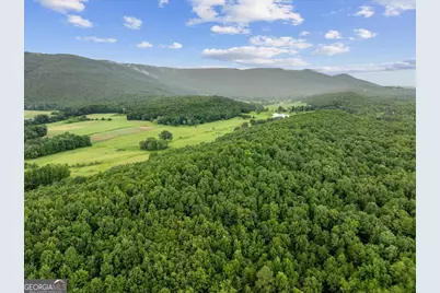 0 Fricks Gap Road LOT #4, Chickamauga, GA 30707 - Photo 4