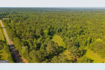 0 Cunningham Road, Greensboro, GA 30642 - Photo 6