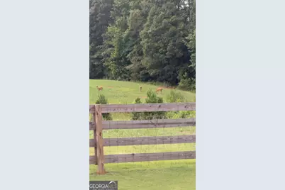 230 Bluff Mill Farms Drive, Senoia, GA 30276 - Photo 10