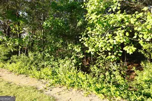 0 Hollyhock Ln, Dallas, GA 30132 - Photo 2