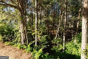 0 Hollyhock Ln, Dallas, GA 30132 - Photo 4