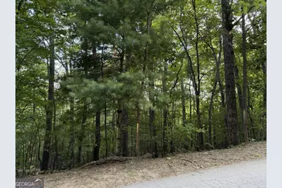 Lot 46 Fox Run Drive #46, Blue Ridge, GA 30513 - Photo 2
