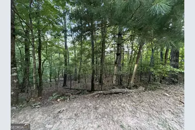 Lot 46 Fox Run Drive #46, Blue Ridge, GA 30513 - Photo 6