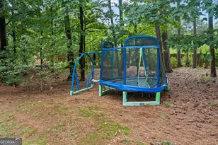 325 Trowbridge Ln, Lawrenceville, GA 30043 - Photo 38