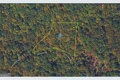 935 Lost Forest Road, Ellijay, GA 30536 - Photo 1