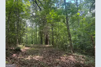 0 Hickey Road, Franklin, GA 30217 - Photo 1