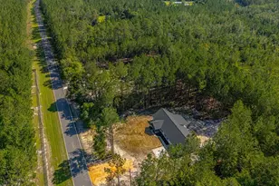 7299 Manningtown Rd, Jesup, GA 31546 - Photo 40