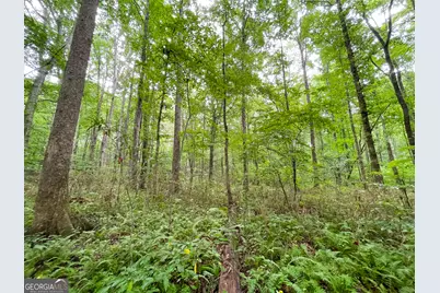 18 +/- Acres On Pope Lake Road, Buchanan, GA 30113 - Photo 28