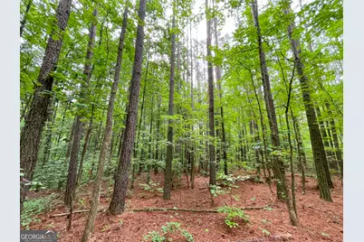 18 +/- Acres On Pope Lake Road, Buchanan, GA 30113 - Photo 10