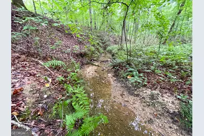 18 +/- Acres On Pope Lake Road, Buchanan, GA 30113 - Photo 32