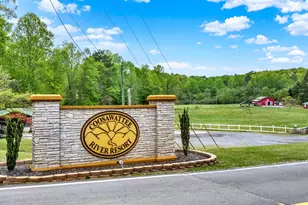 178 Novena Ct, Ellijay, GA 30540 - Photo 72